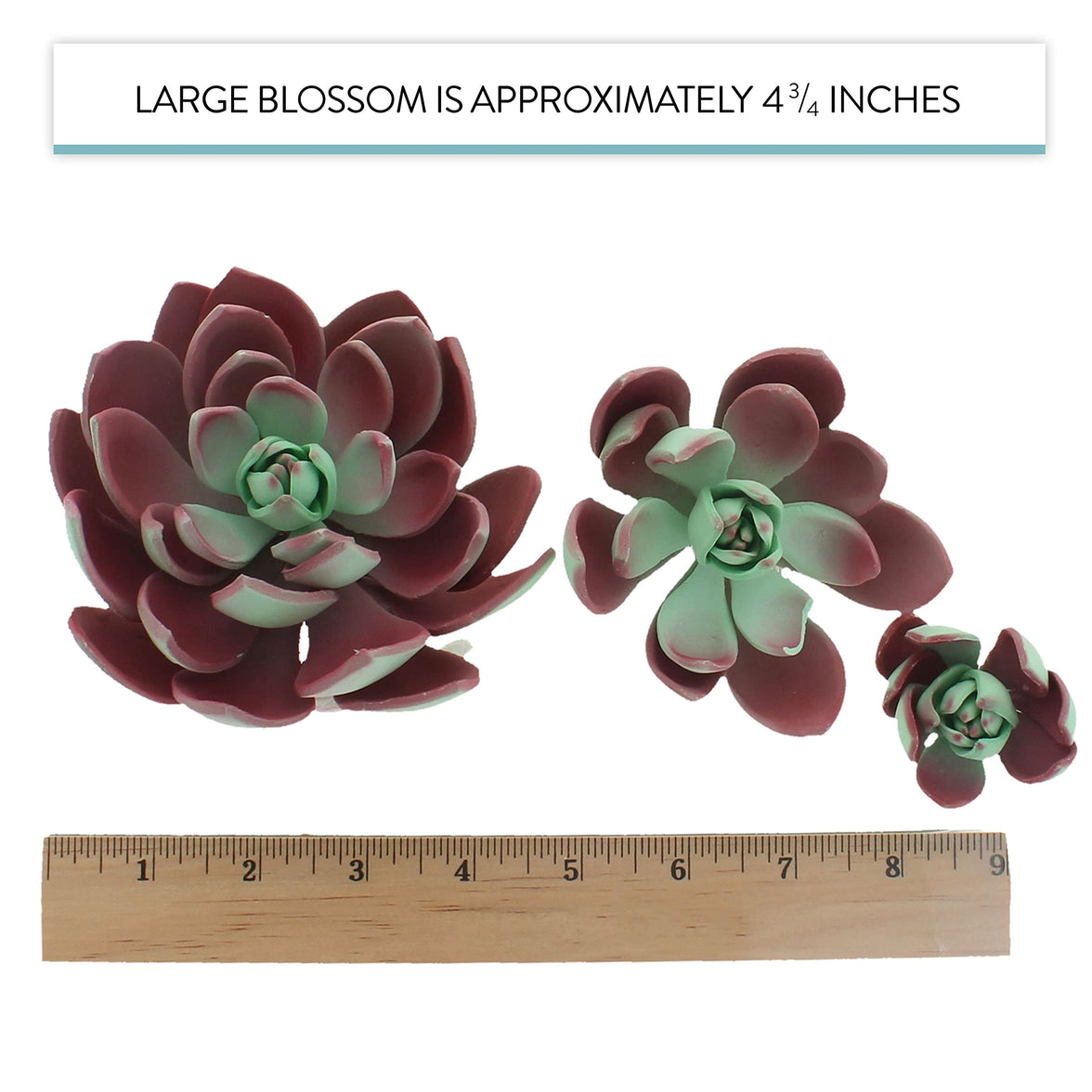 Global Sugar Art Succulent Romeo Sugar Cake Flowers Assortment with Wire, 3 Count by Chef Alan Tetreault