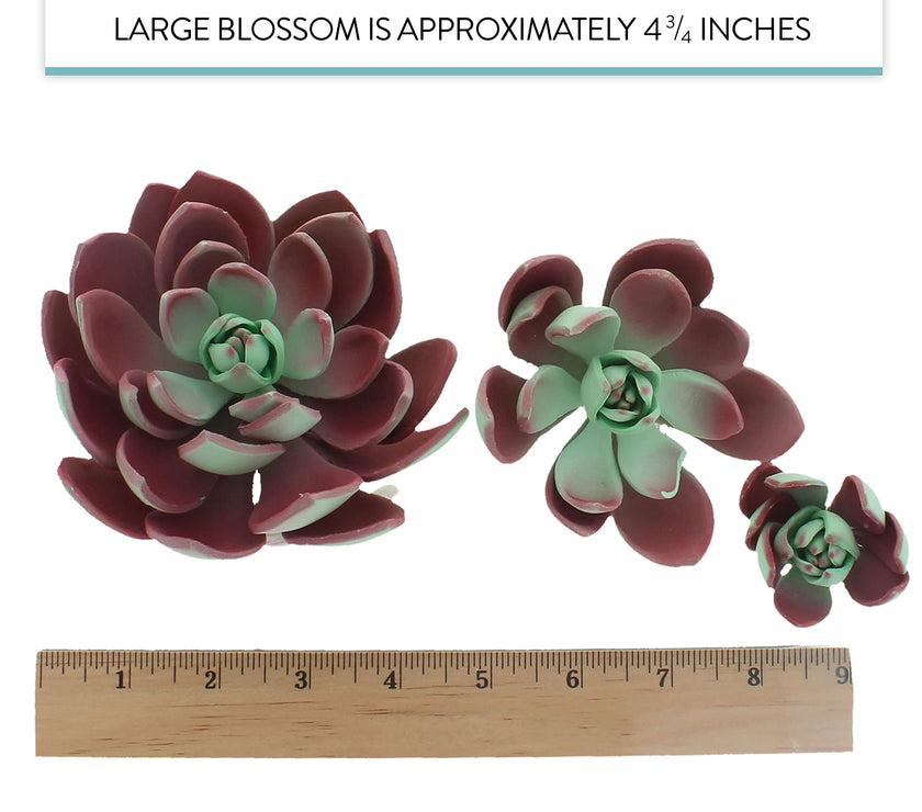 Global Sugar Art Succulent Romeo Sugar Cake Flowers Assortment with Wire, 3 Count by Chef Alan Tetreault