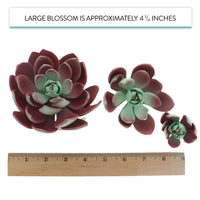 Global Sugar Art Succulent Romeo Sugar Cake Flowers Assortment with Wire, 3 Count by Chef Alan Tetreault