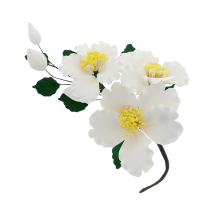 White Camellia Orchid Spray