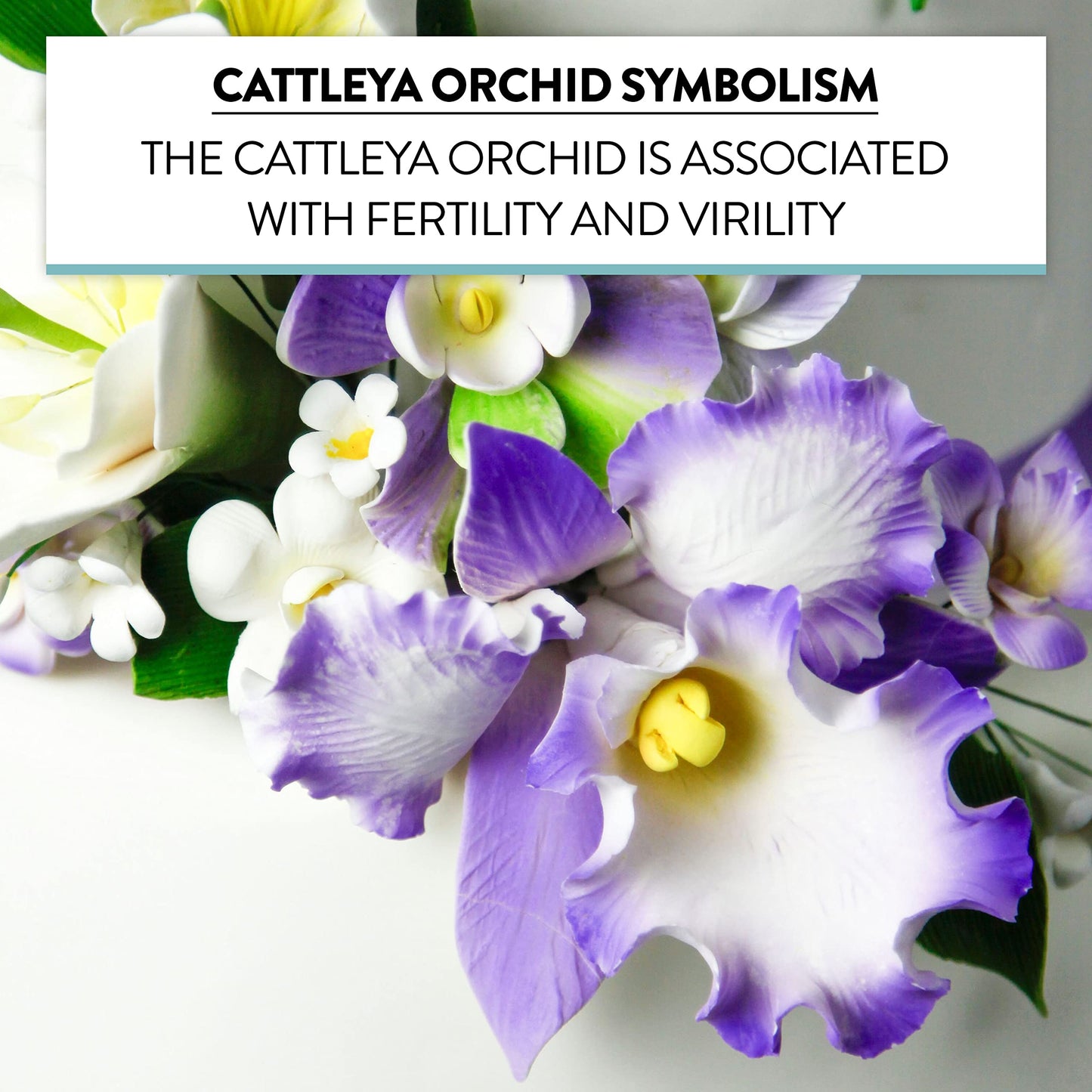 Purple and White Arched Cattleya Orchid Spray