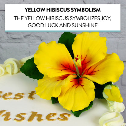 Yellow Tropical Hibiscus with Leaves