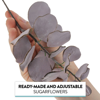 Muave Eucalyptus, 5 Count