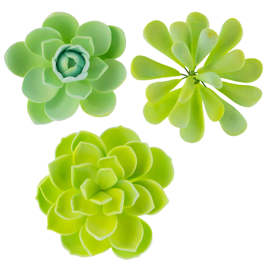 Global Sugar Art Succulent Vibrant Mixed Assortment Sugar Cake Flowers, 3 Count by Chef Alan Tetreault