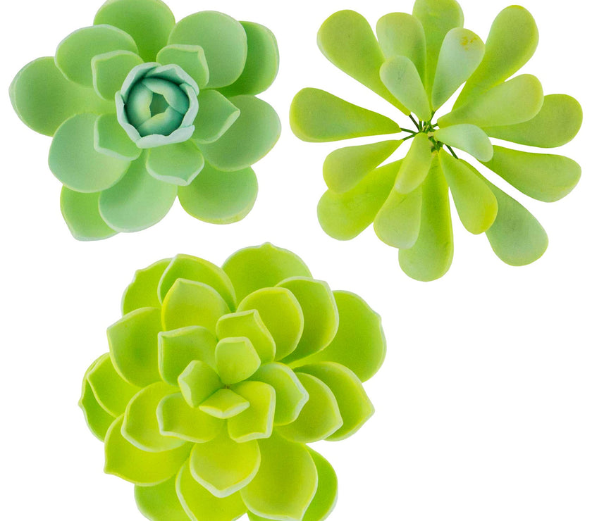 Global Sugar Art Succulent Vibrant Mixed Assortment Sugar Cake Flowers, 3 Count by Chef Alan Tetreault