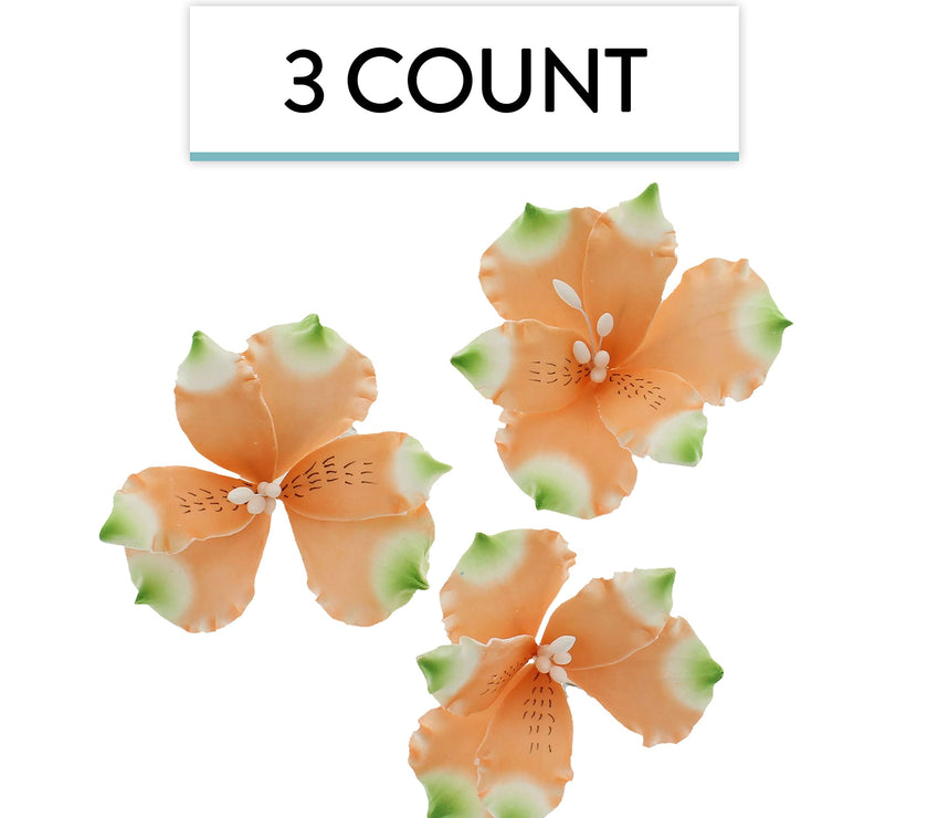 Global Sugar Art Orange Alstroemeria Sugar Cake Flowers by Chef Alan Tetreault, 3 Count