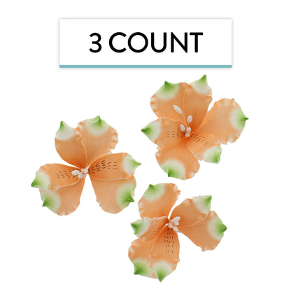 Orange Alstroemeria, 3 Count