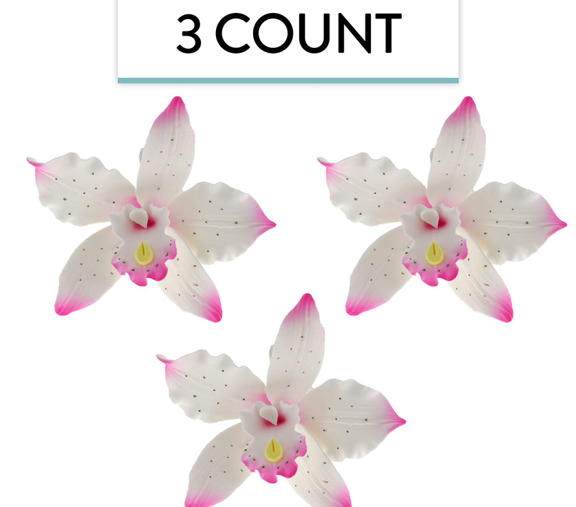 Orchid Sugar Cake Flowers, Brassavola Style Orchids, by Global Sugar Art, 3 Count, Pink