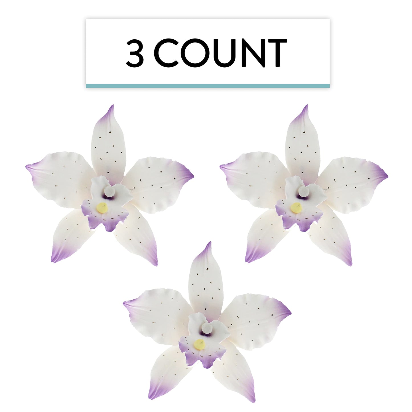 Purple Tipped Brassavola Orchids, 3 Count