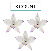 Orchid Sugar Cake Flowers, Brassavola Style Orchids, by Global Sugar Art, 3 Count, Purple