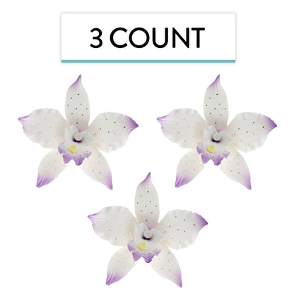 Purple Tipped Brassavola Orchids, 3 Count