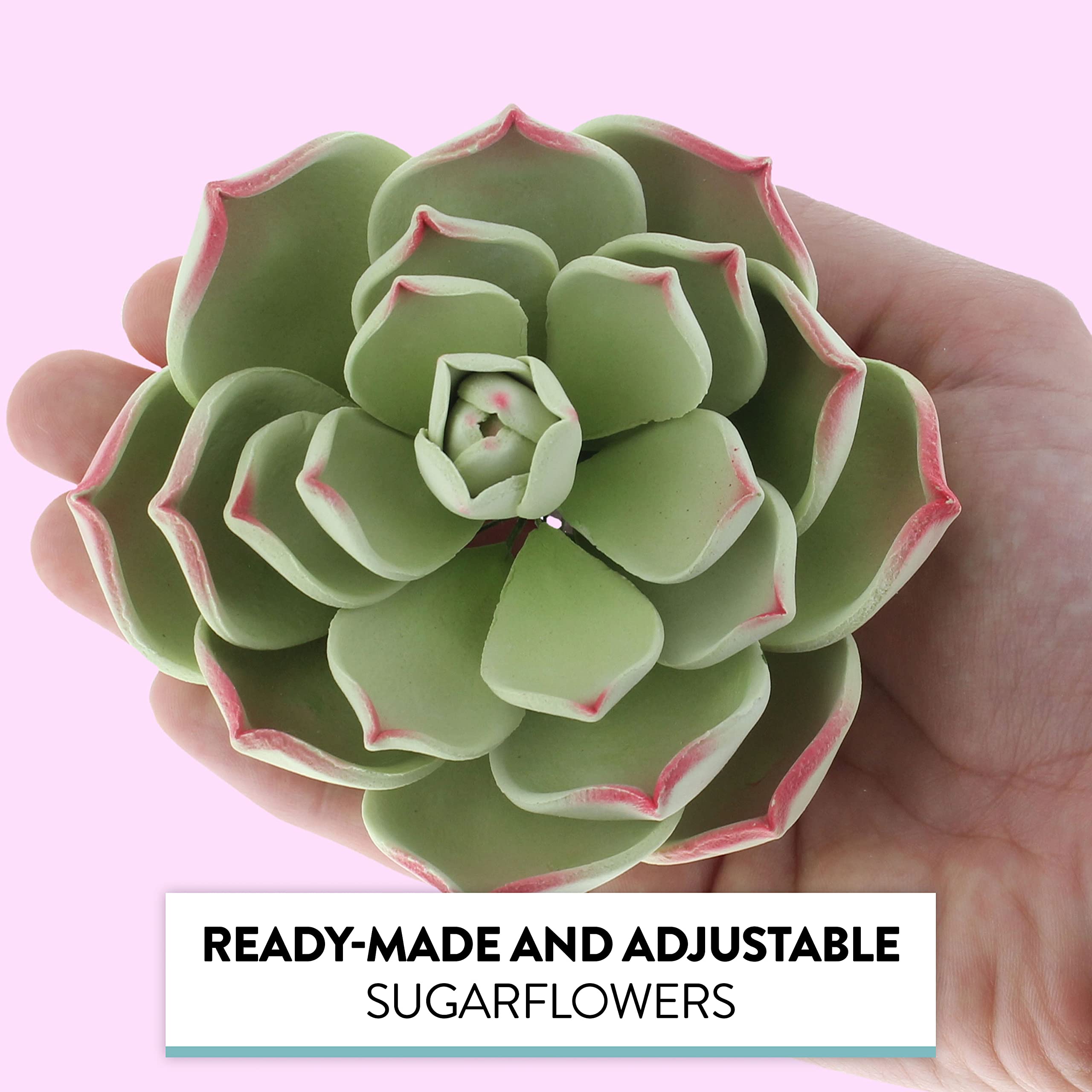 Global Sugar Art Succulent Parva Large Cake Flower with Wire, 1 Count by Chef Alan Tetreault