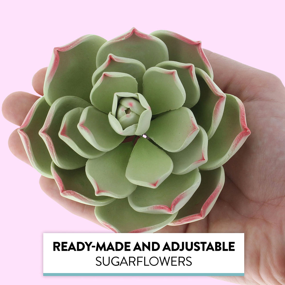 Global Sugar Art Succulent Parva Large Cake Flower with Wire, 1 Count by Chef Alan Tetreault