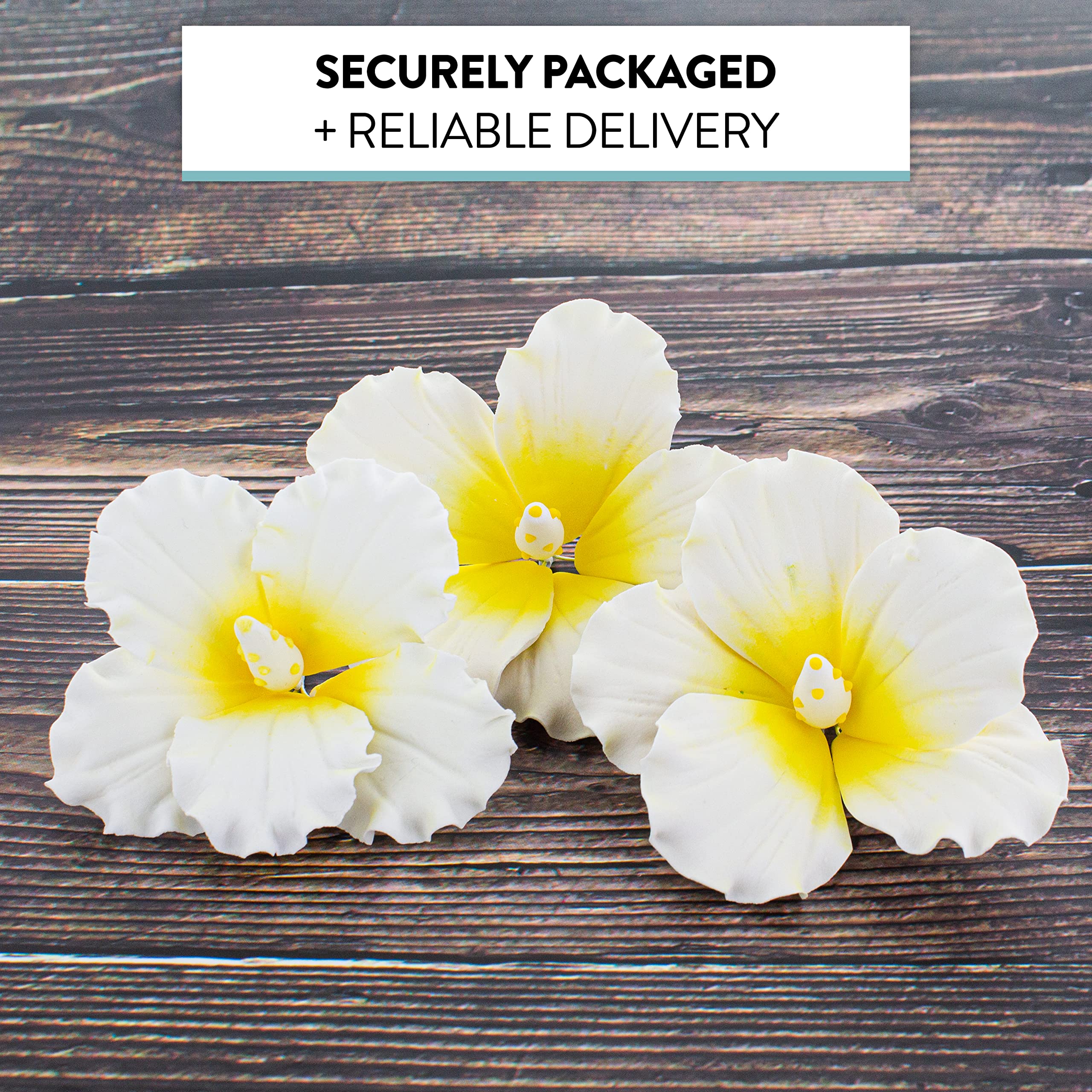 Hibiscus Sugar Cake Flowers, White and Yellow Tropical Sugar Flowers, by Global Sugar Art
