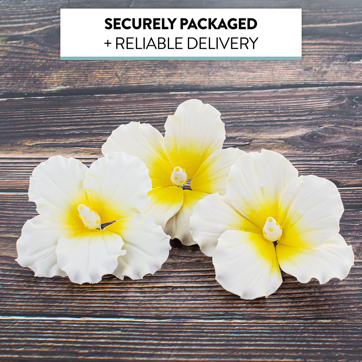 White and Yellow Tropical Hibiscus