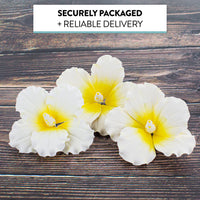Hibiscus Sugar Cake Flowers, White and Yellow Tropical Sugar Flowers, by Global Sugar Art