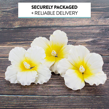White and Yellow Tropical Hibiscus