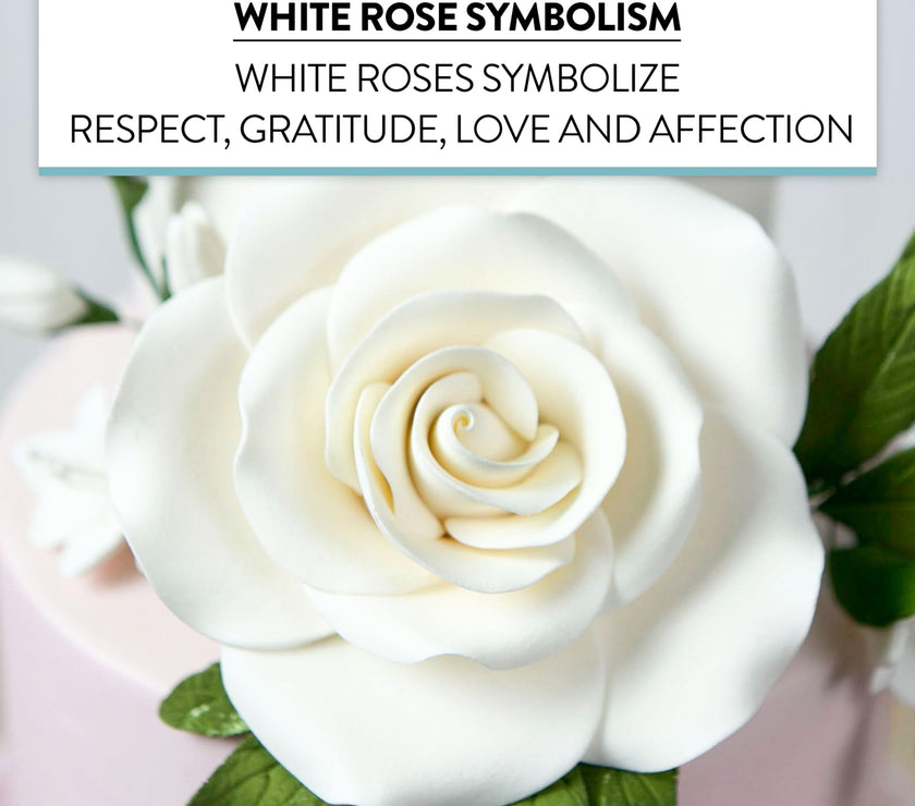 Jumbo Rose Sugar Cake Flowers by Global Sugar Art, White