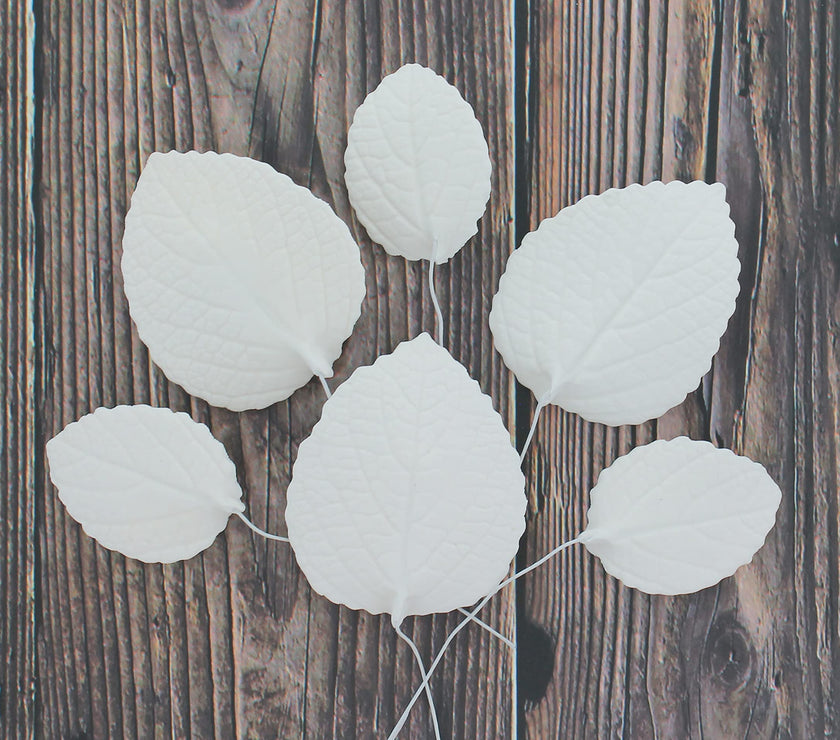 Hydrangea Leaves, Gum Paste Cake Decorations by Global Sugar Art, White, Multiple Sizes