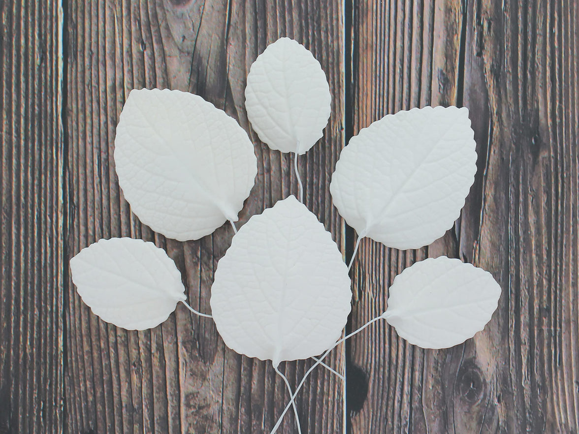 Hydrangea Leaves, Gum Paste Cake Decorations by Global Sugar Art, White, Multiple Sizes