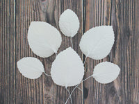 Hydrangea Leaves, Gum Paste Cake Decorations by Global Sugar Art, White, Multiple Sizes