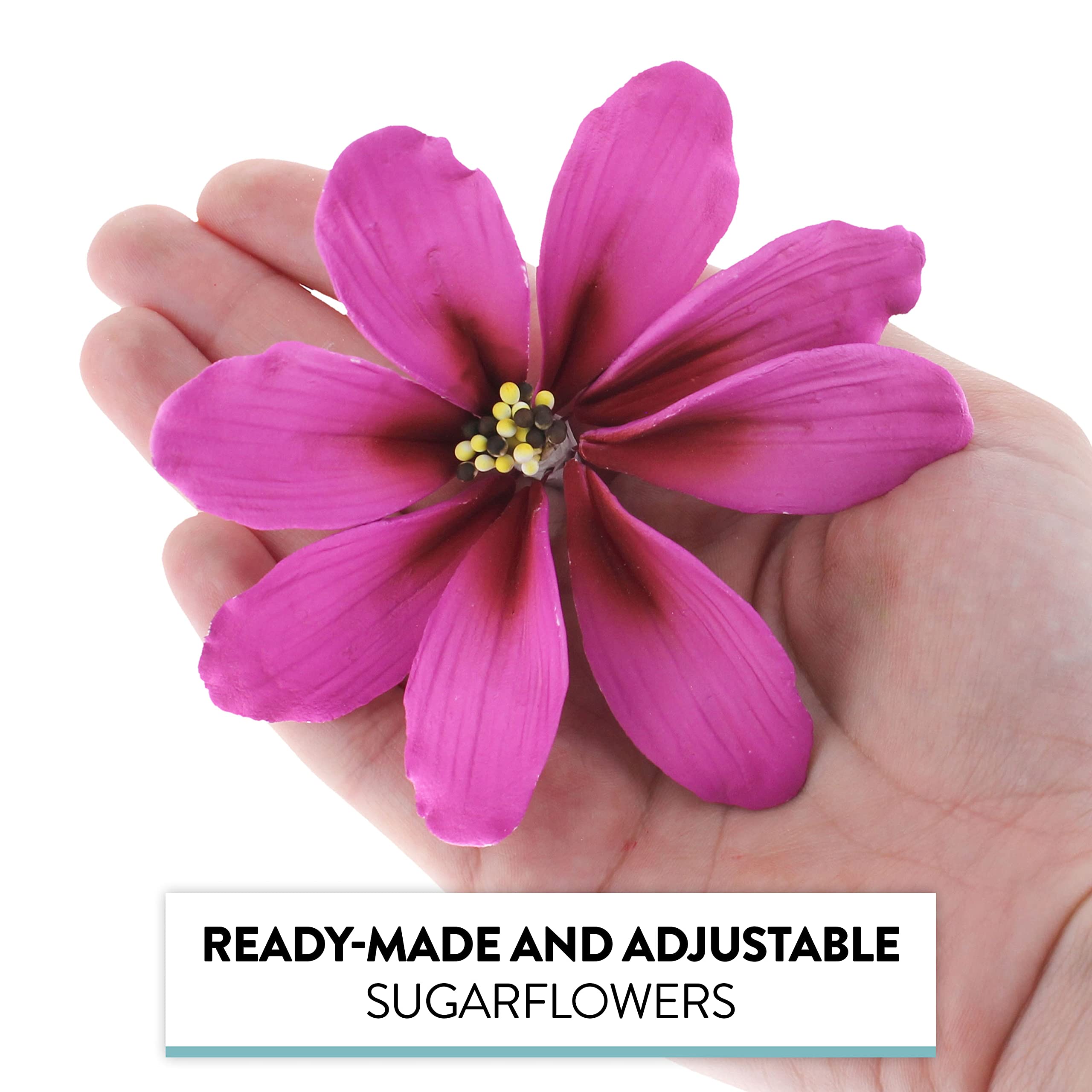 Global Sugar Art Cosmos Sugar Cake Flowers, Pink, Large, 3 Count by Chef Alan Tetreault