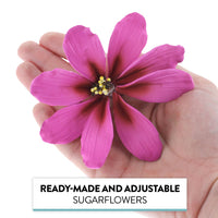 Global Sugar Art Cosmos Sugar Cake Flowers, Pink, Large, 3 Count by Chef Alan Tetreault