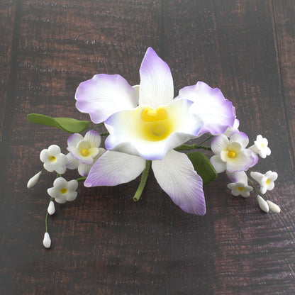 Purple and White Arched Cattleya Orchid Spray
