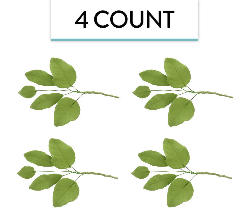 Light Green Gardenia Leaf Spray Cake Decoration by Chef Alan Tetreault, Global Sugar Art, 4 Count