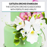 Orchid Sugar Cake Flower Sprays, White Cattleya Arched Orchid Spray, by Global Sugar Art