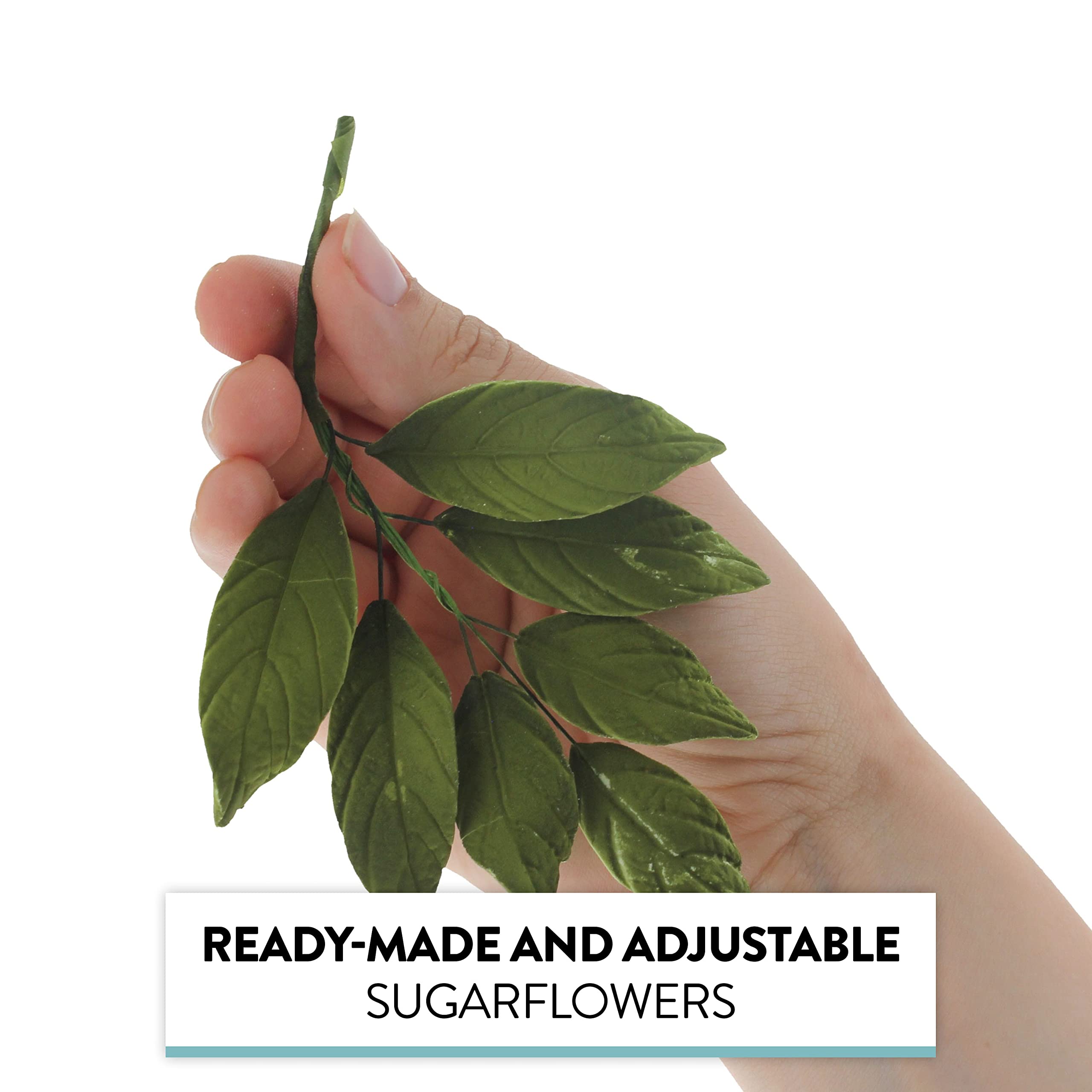 Dark Green Leaf  Spray  Cake Decoration by Chef Alan Tetreault, Global Sugar Art, 4 Count