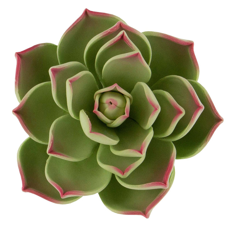 Global Sugar Art Succulent Parva Large Cake Flower with Wire, 1 Count by Chef Alan Tetreault
