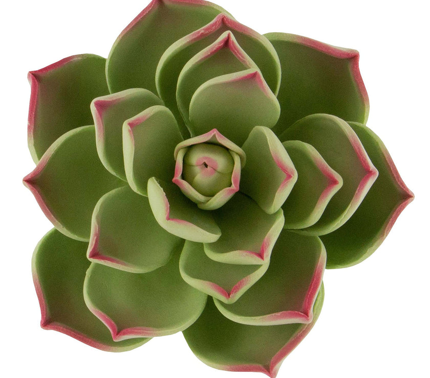Global Sugar Art Succulent Parva Large Cake Flower with Wire, 1 Count by Chef Alan Tetreault