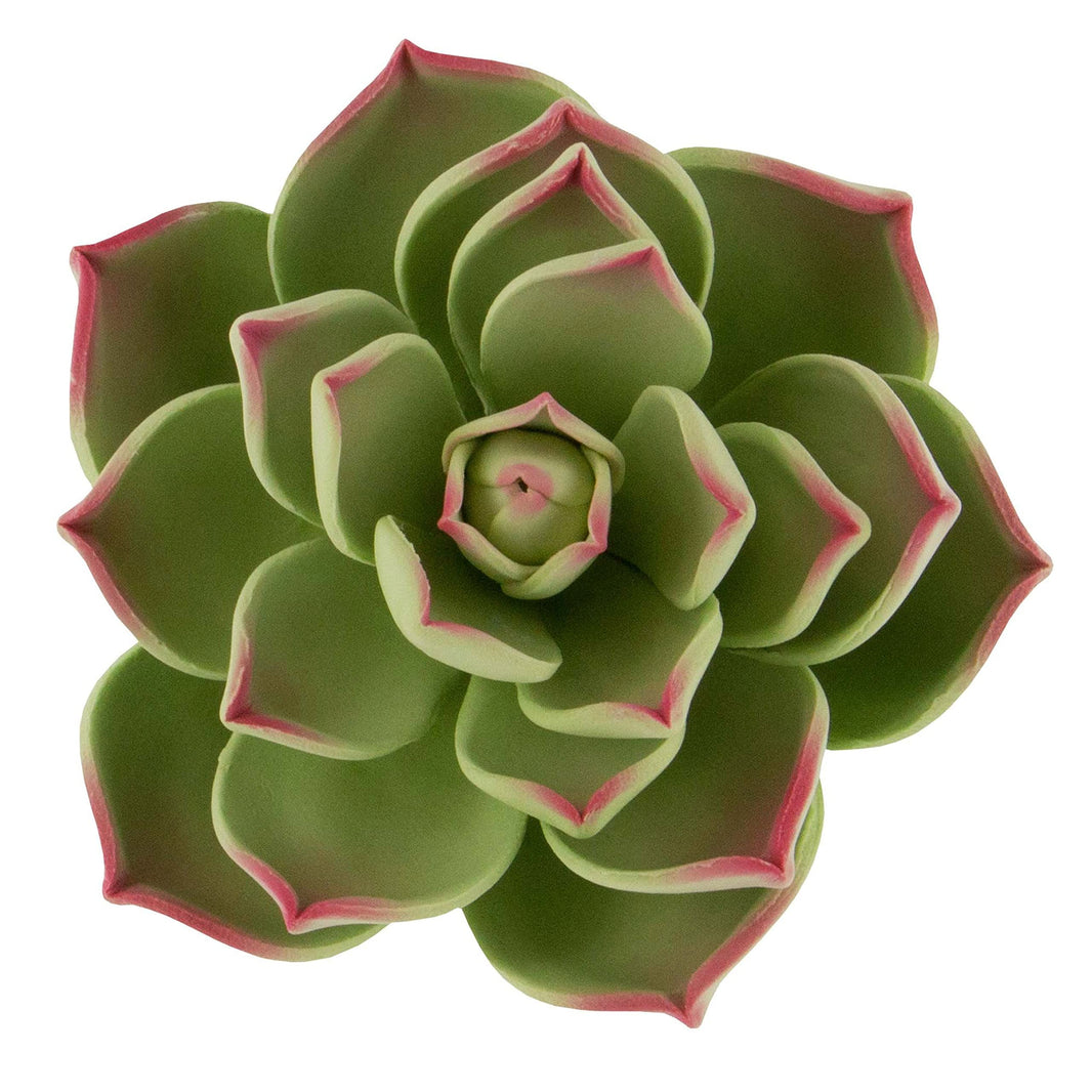 Global Sugar Art Succulent Parva Large Cake Flower with Wire, 1 Count by Chef Alan Tetreault