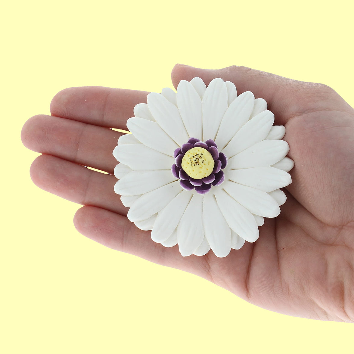 Global Sugar Art Gerbera Daisy Sugar Cake Flowers, Mixed Colors, 8 Count by Chef Alan Tetreault