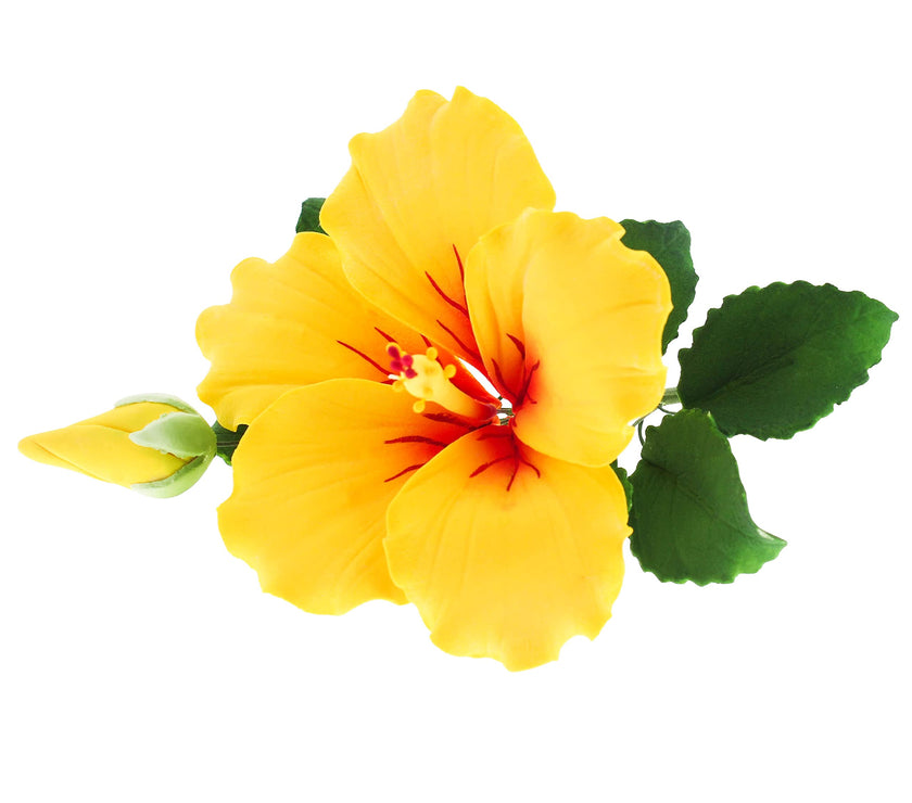 Tropical Hibiscus Sugar Cake Flower Spray by Global Sugar Art, Yellow