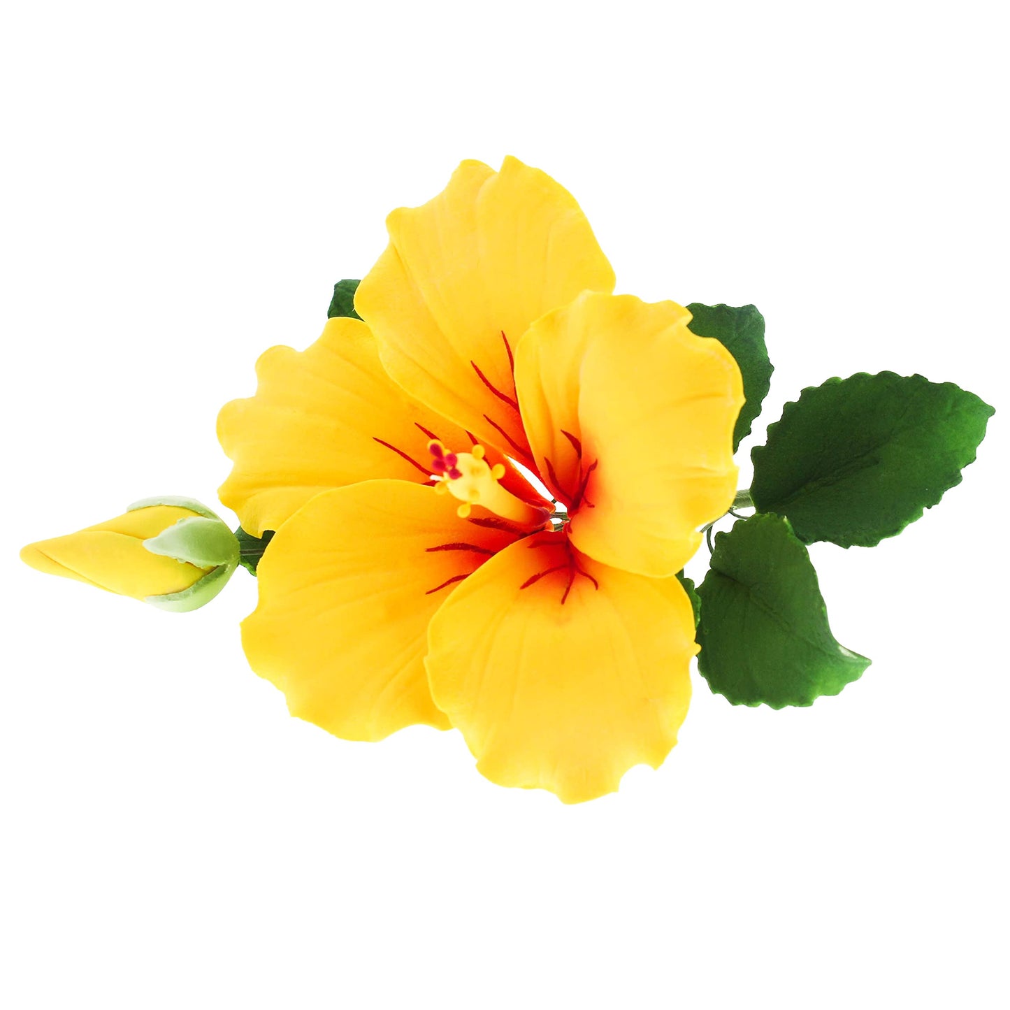 Yellow Tropical Hibiscus with Leaves