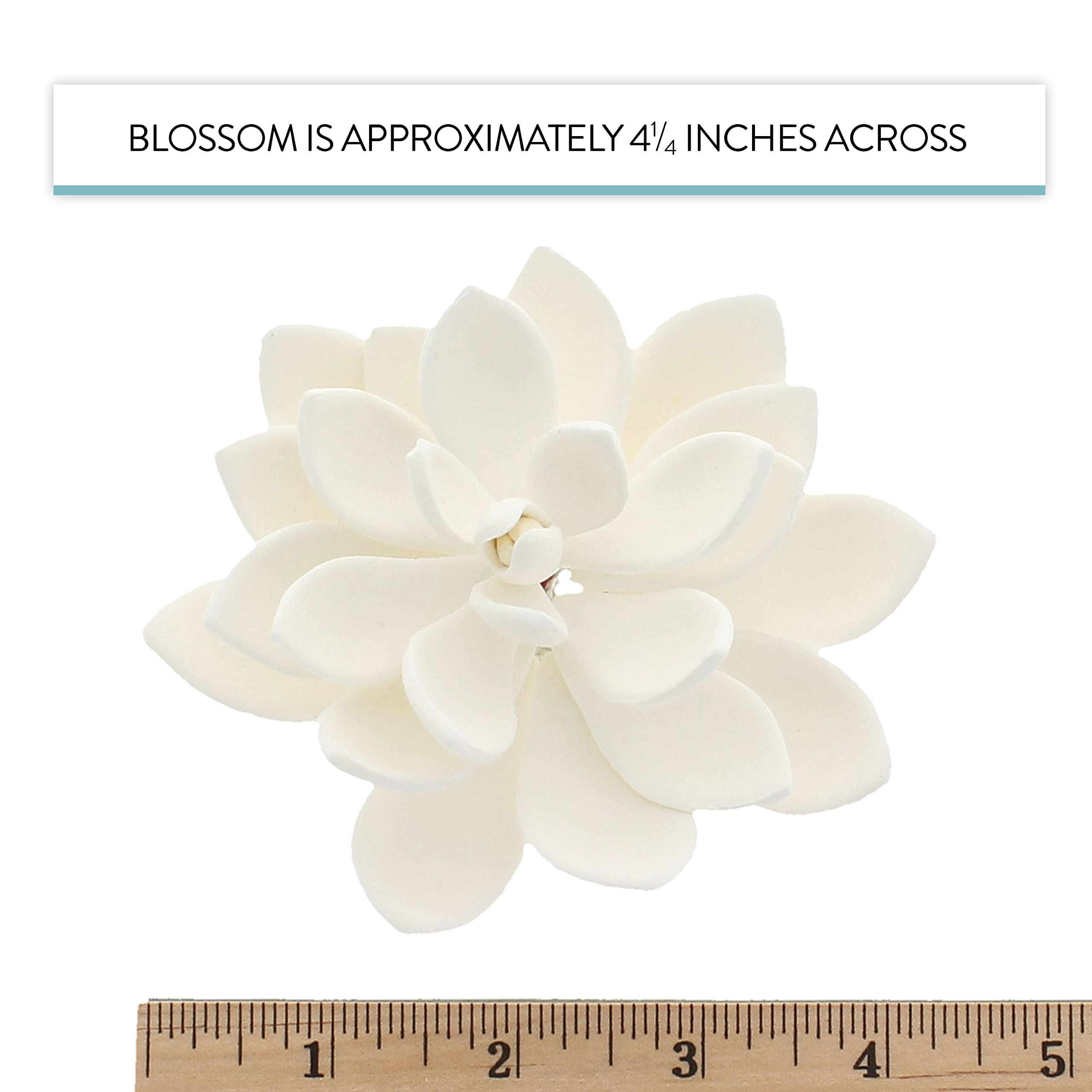 Global Sugar Art Succulent Opalina Sugar Cake Flowers White with Wire, 3 Count by Chef Alan Tetreault