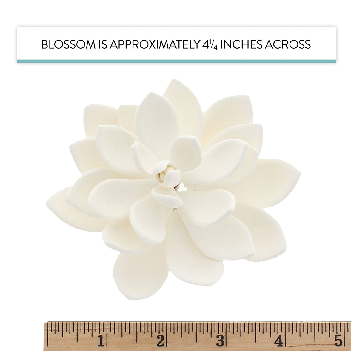 Global Sugar Art Succulent Opalina Sugar Cake Flowers White with Wire, 3 Count by Chef Alan Tetreault