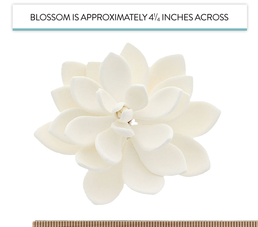 Global Sugar Art Succulent Opalina Sugar Cake Flowers White with Wire, 3 Count by Chef Alan Tetreault
