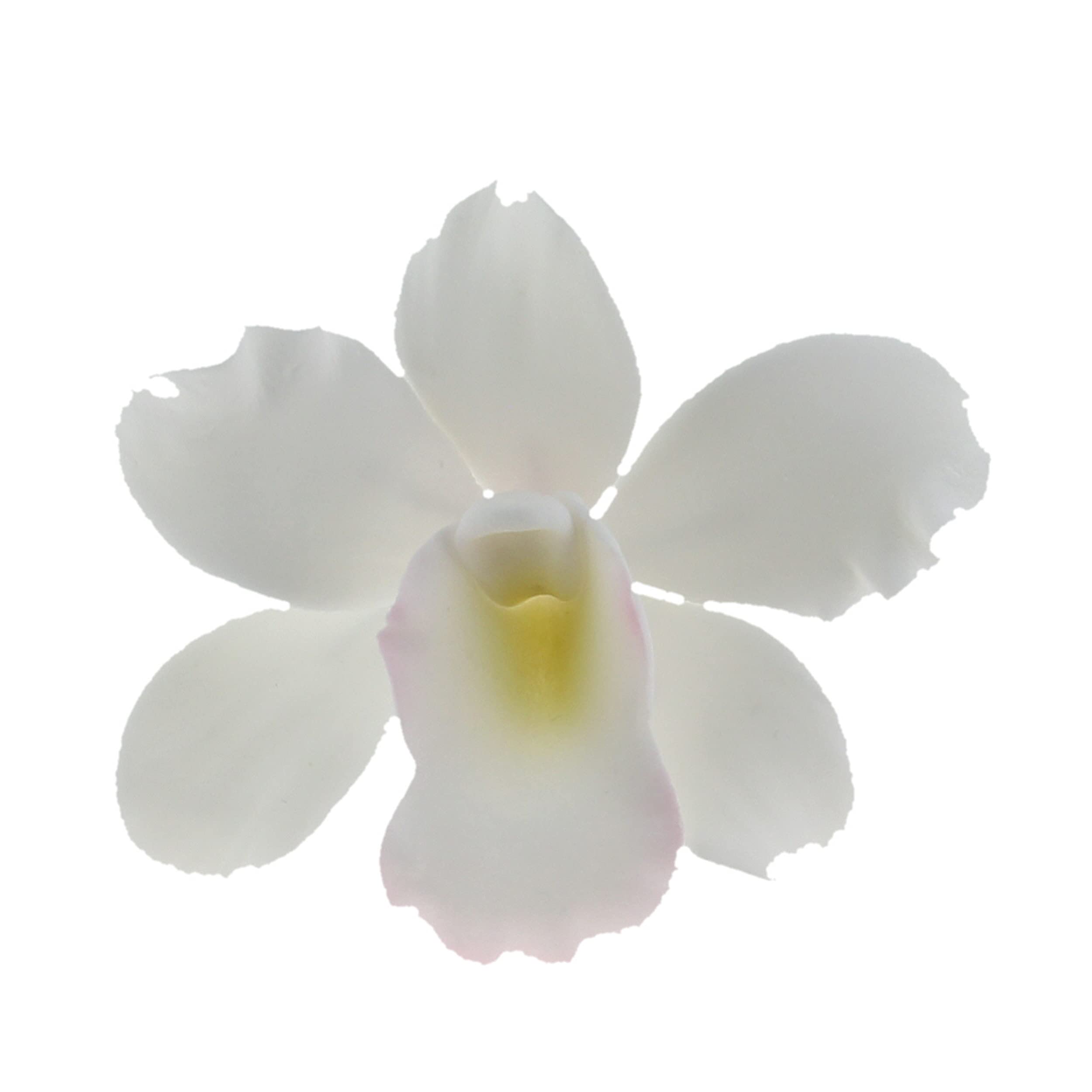 Orchid Sugar Cake Flowers, Pearly Orchids, by Global Sugar Art, Small, White, 6 Count