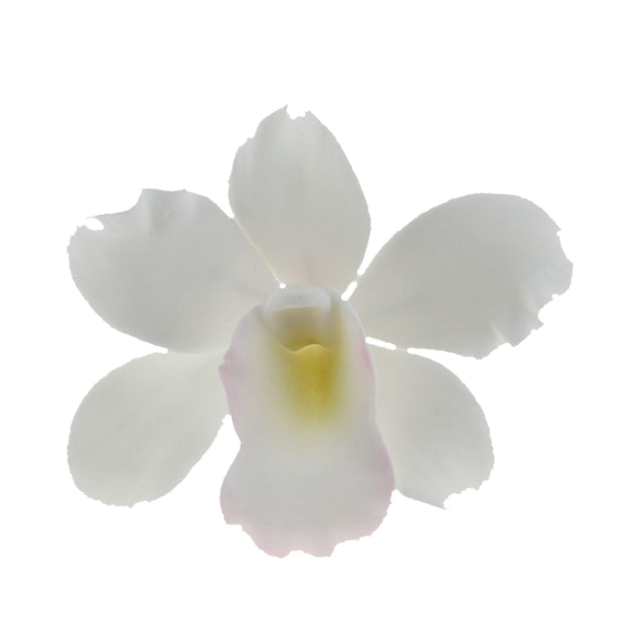 Orchid Sugar Cake Flowers, Pearly Orchids, by Global Sugar Art, Small, White, 6 Count