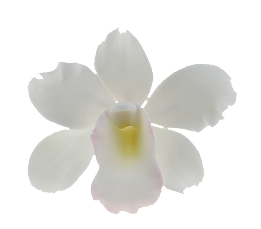 Orchid Sugar Cake Flowers, Pearly Orchids, by Global Sugar Art, Small, White, 6 Count