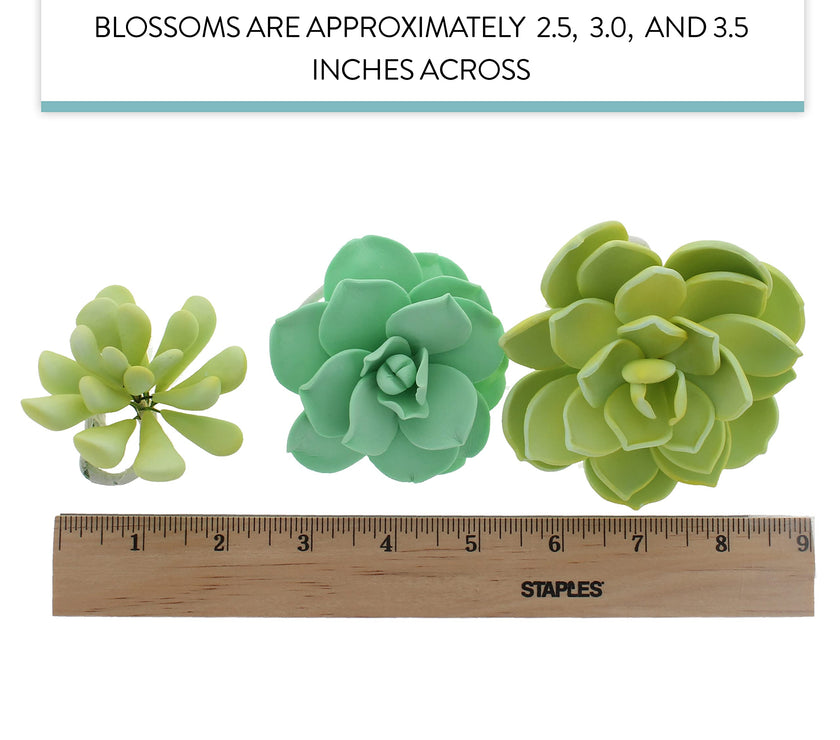 Global Sugar Art Succulent Vibrant Mixed Assortment Sugar Cake Flowers, 3 Count by Chef Alan Tetreault