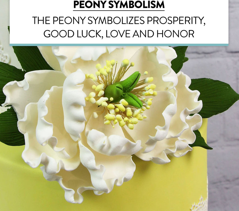 Peony Sugar Flower Decoration for Cakes, by Global Sugar Art, White Bloom