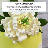 Peony Sugar Flower Decoration for Cakes, by Global Sugar Art, White Bloom