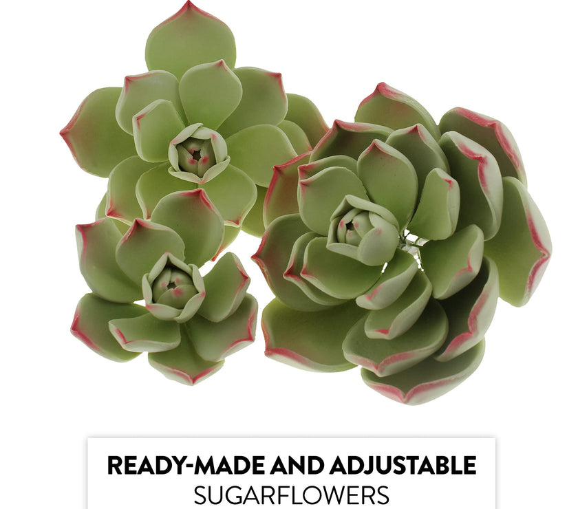 Global Sugart Art Succulents Parva Assortment Sugar Cake Flowers, 3 Count by Chef Alan Tetreault