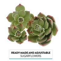 Global Sugart Art Succulents Parva Assortment Sugar Cake Flowers, 3 Count by Chef Alan Tetreault