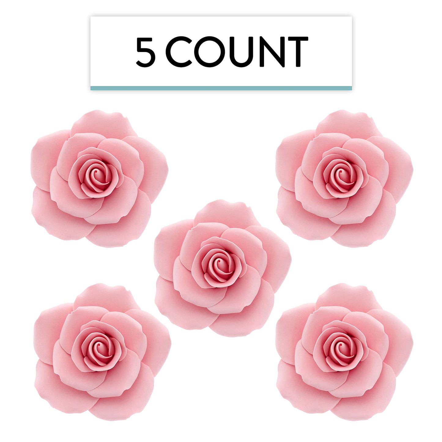 Pink Rose, Jumbo Bloom