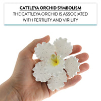 Orchid Sugar Cake Flowers, Cattleya Orchids, by Global Sugar Art, Large, White, 3 Count